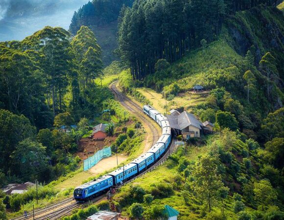 Kerala Odyssey: From Misty Mountains to Tranquil Backwaters