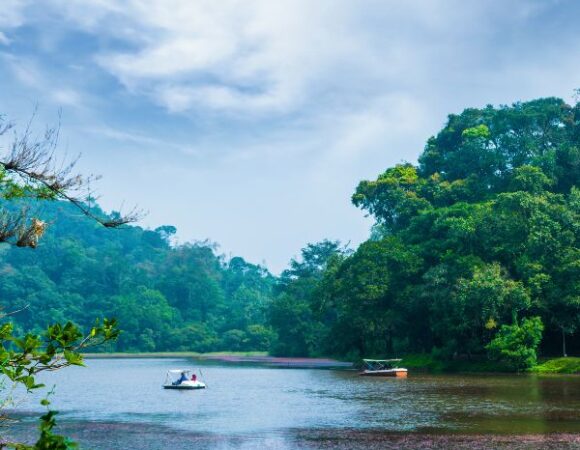 CALICUT & WAYANAD WONDERS