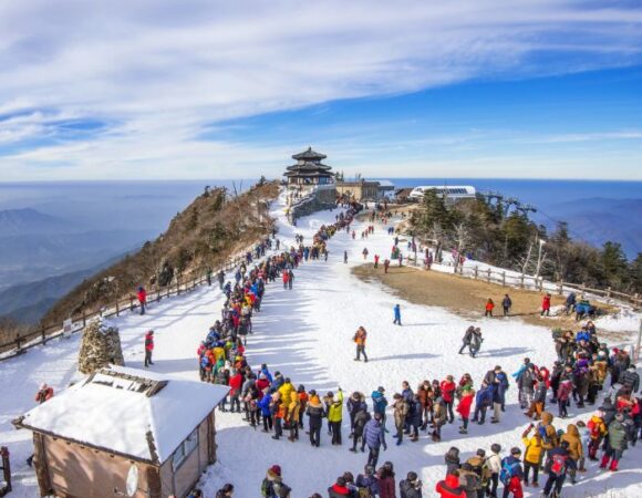 DARJEELING, KALIMPONG & GANGTOK